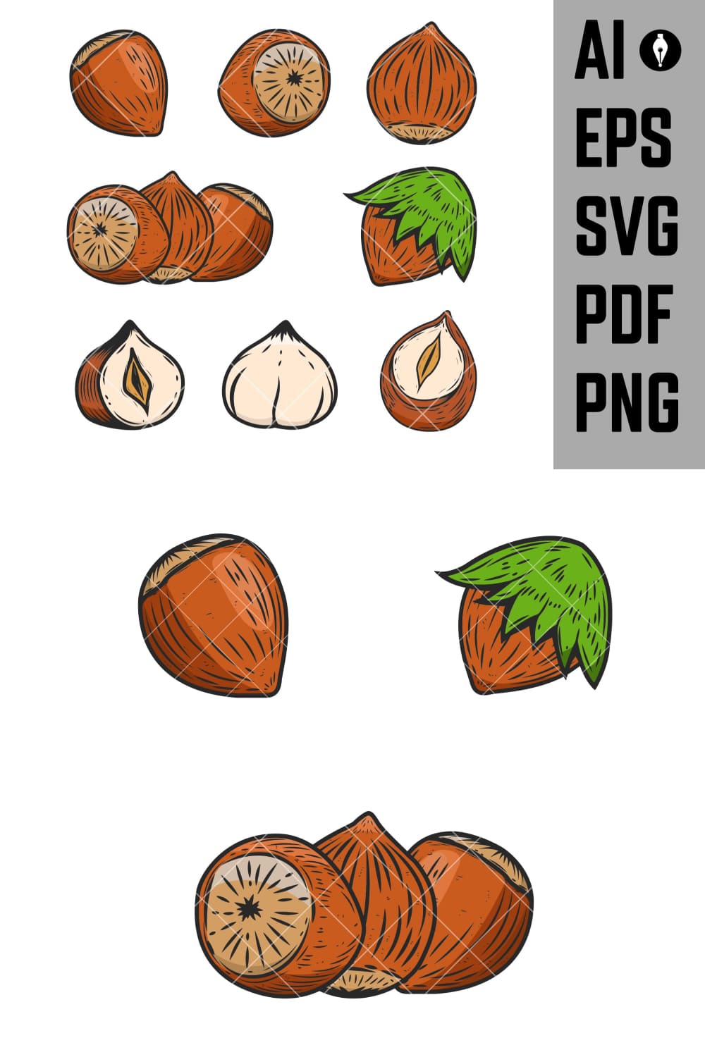 Set Of Hazelnuts Icons Isolated On White Background Svg, Png - Pinterest.
