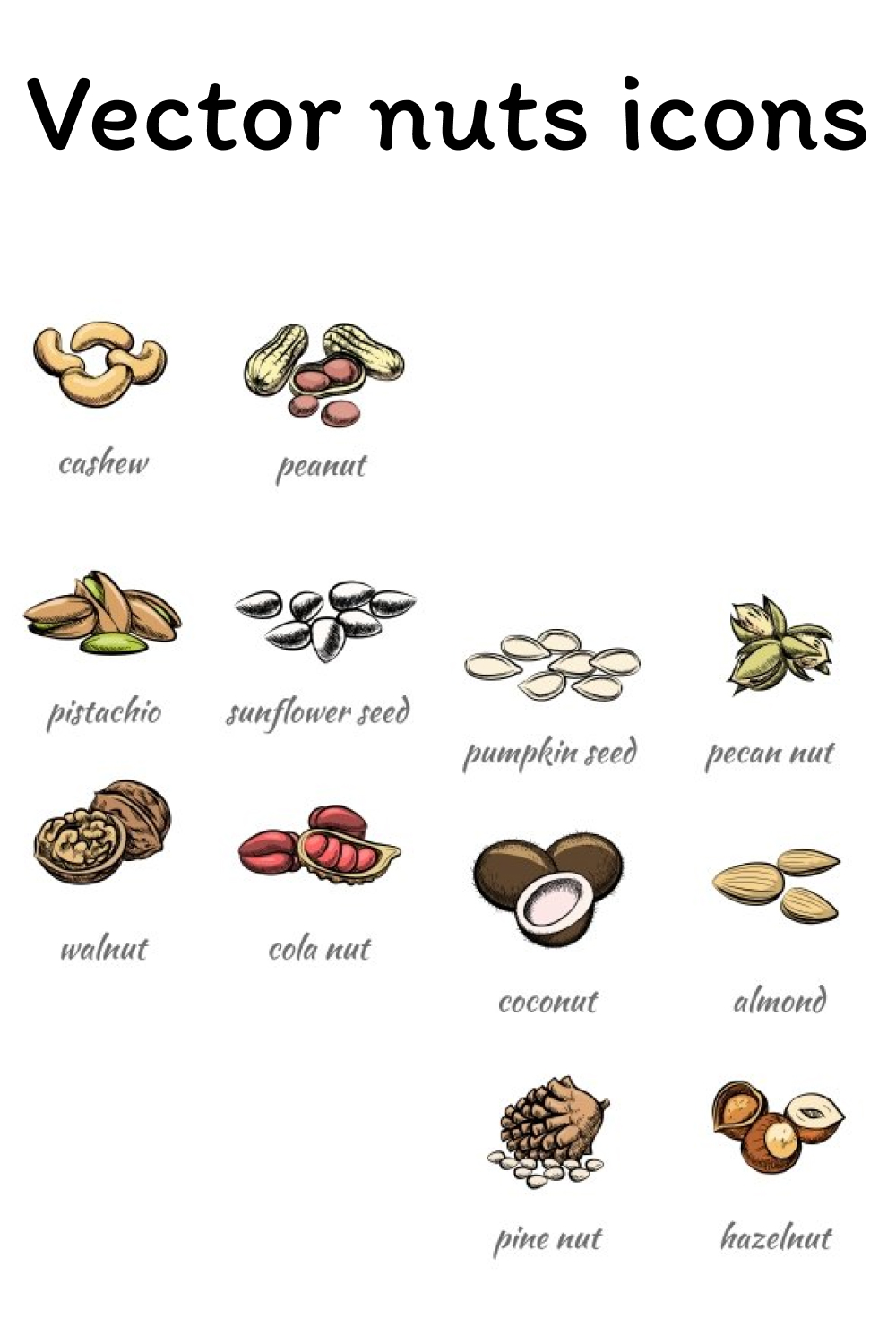 03 vector nuts icons 1000x1500 637