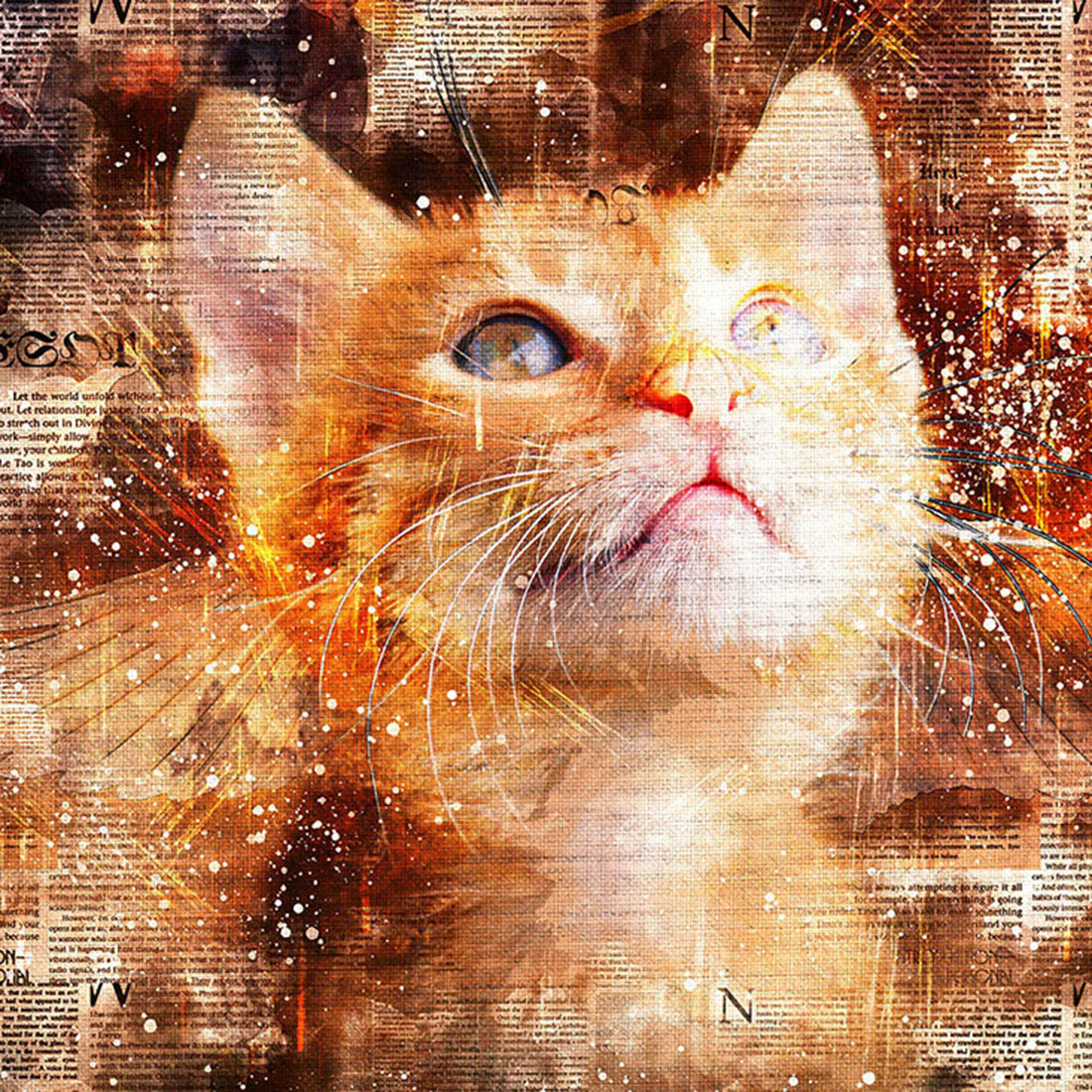 Bundle of 12 Kittens HQ Graphics Ready to Print with Text Style cover image.