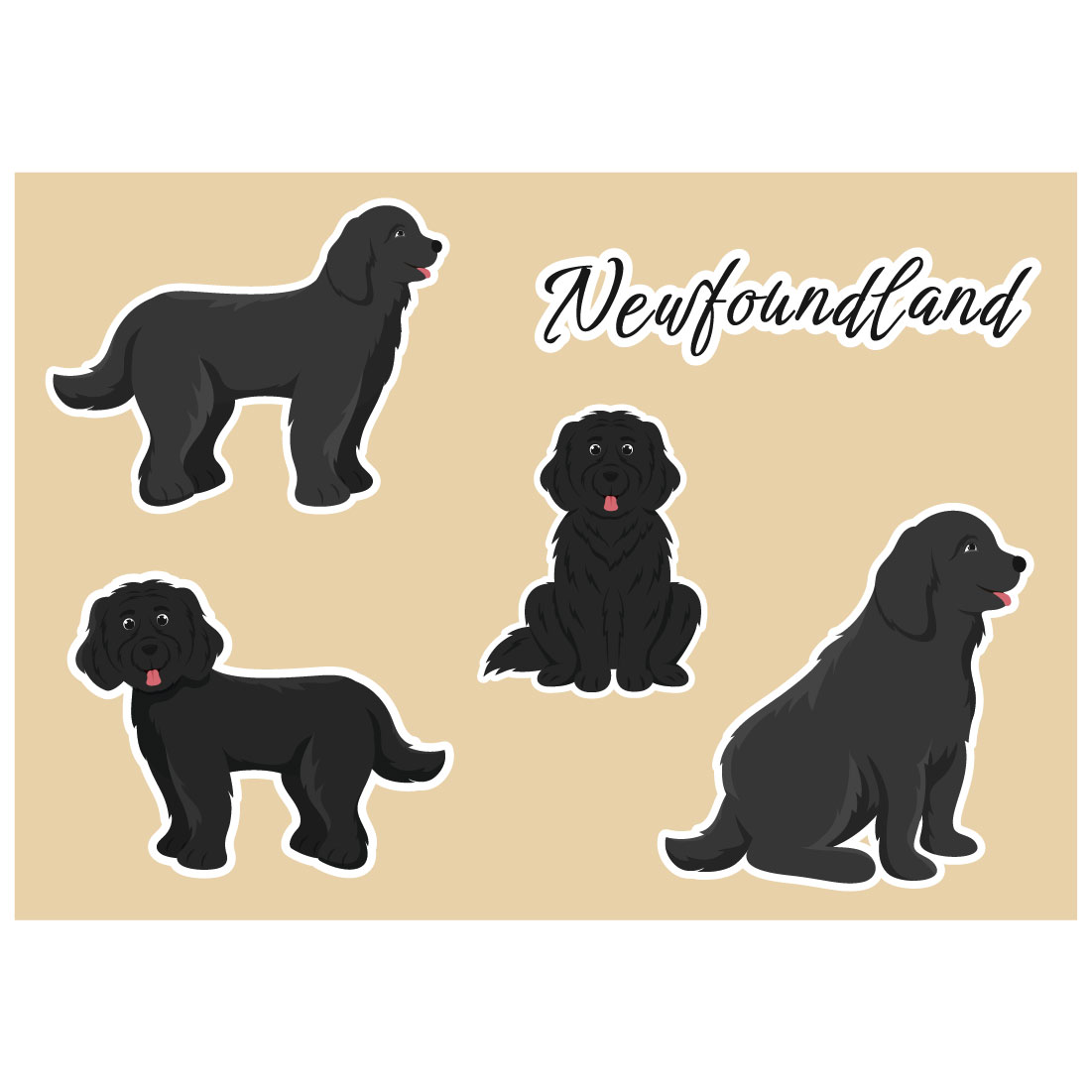 Newfoundland Dog Illustration cover image.