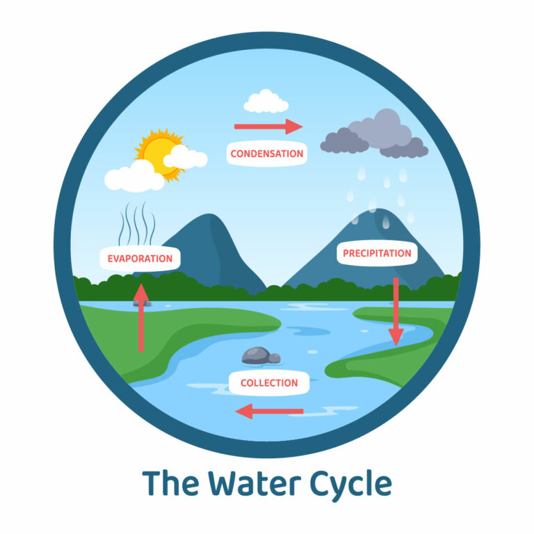 10 Water Cycle Earth Illustration - MasterBundles