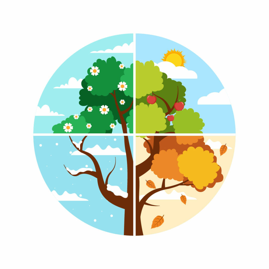 14 Scenery of the Four Seasons of Nature Illustration - MasterBundles