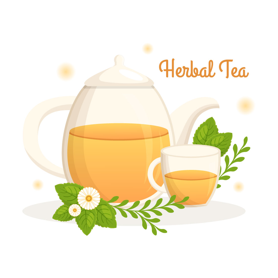 10 Herbal Tea Chamomile Leaves Illustration preview image.