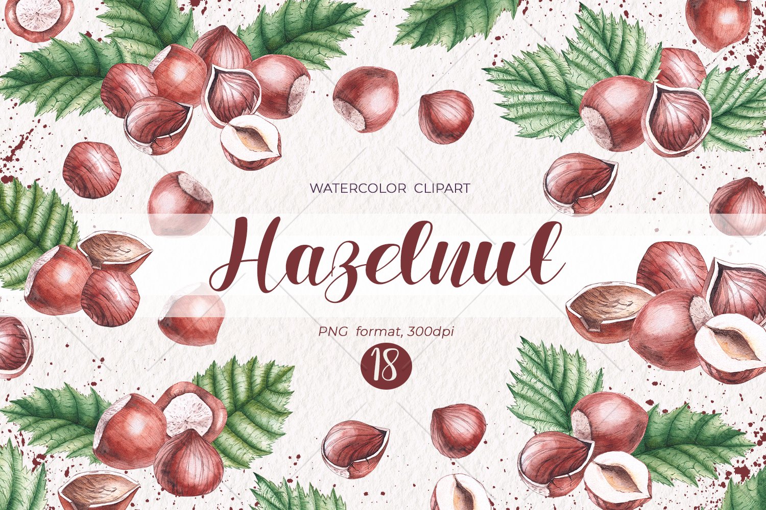 Brown lettering "Hazelnut" and a set of different hazelnuts with leaves on a gray background.