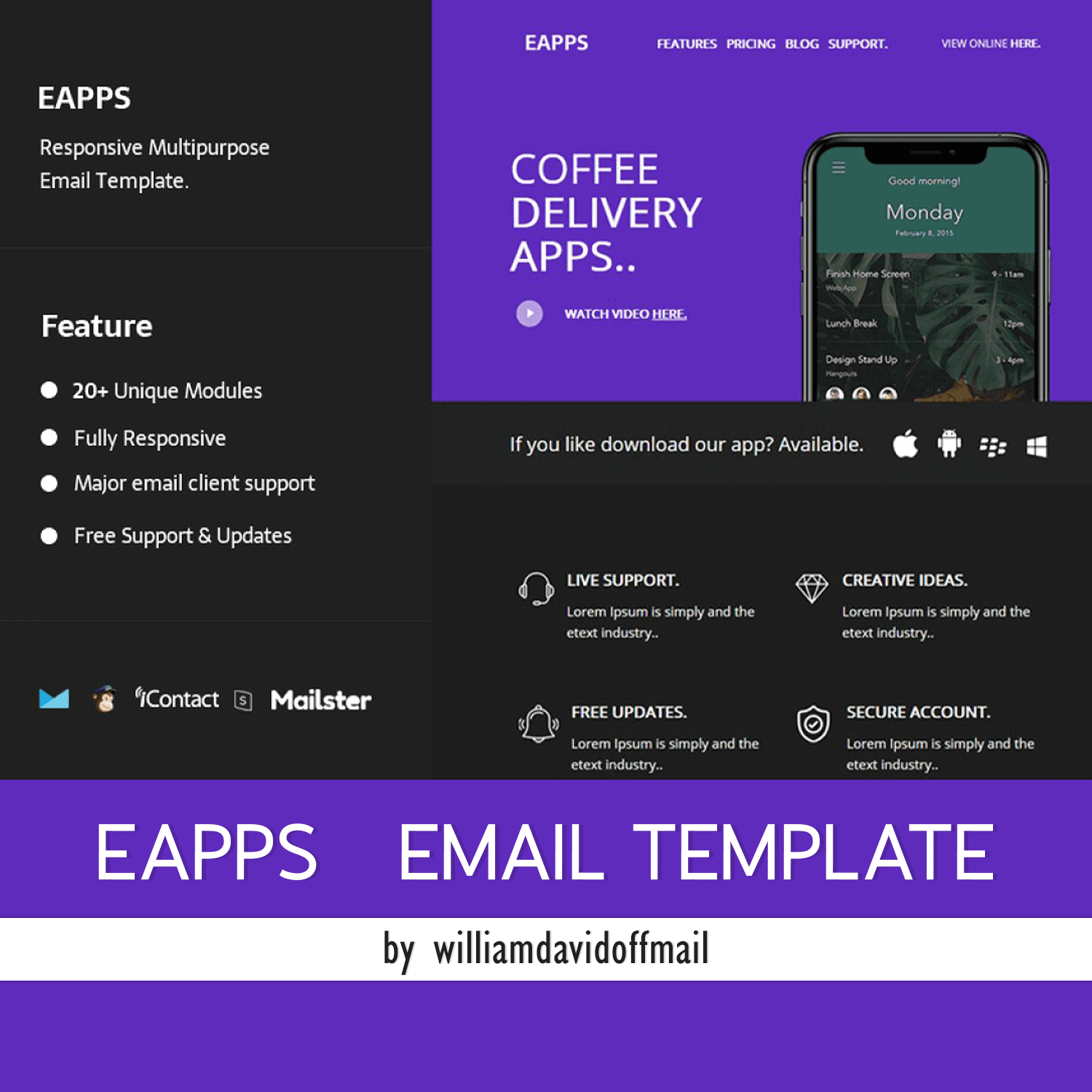 An image of a beautiful email design template and a description of its properties.