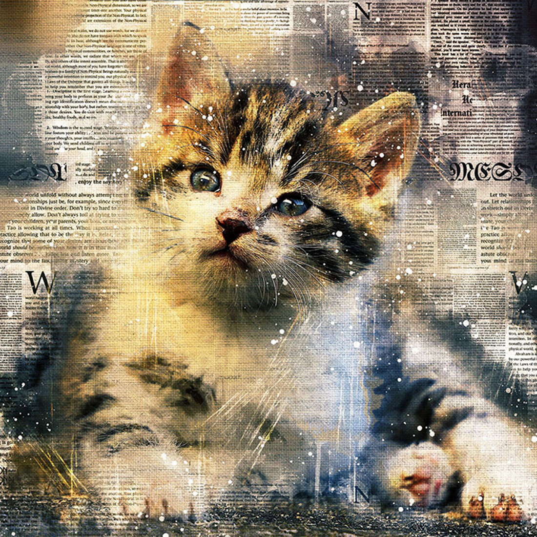 Bundle of 12 Kittens HQ Graphics Ready to Print with Text Style preview image.