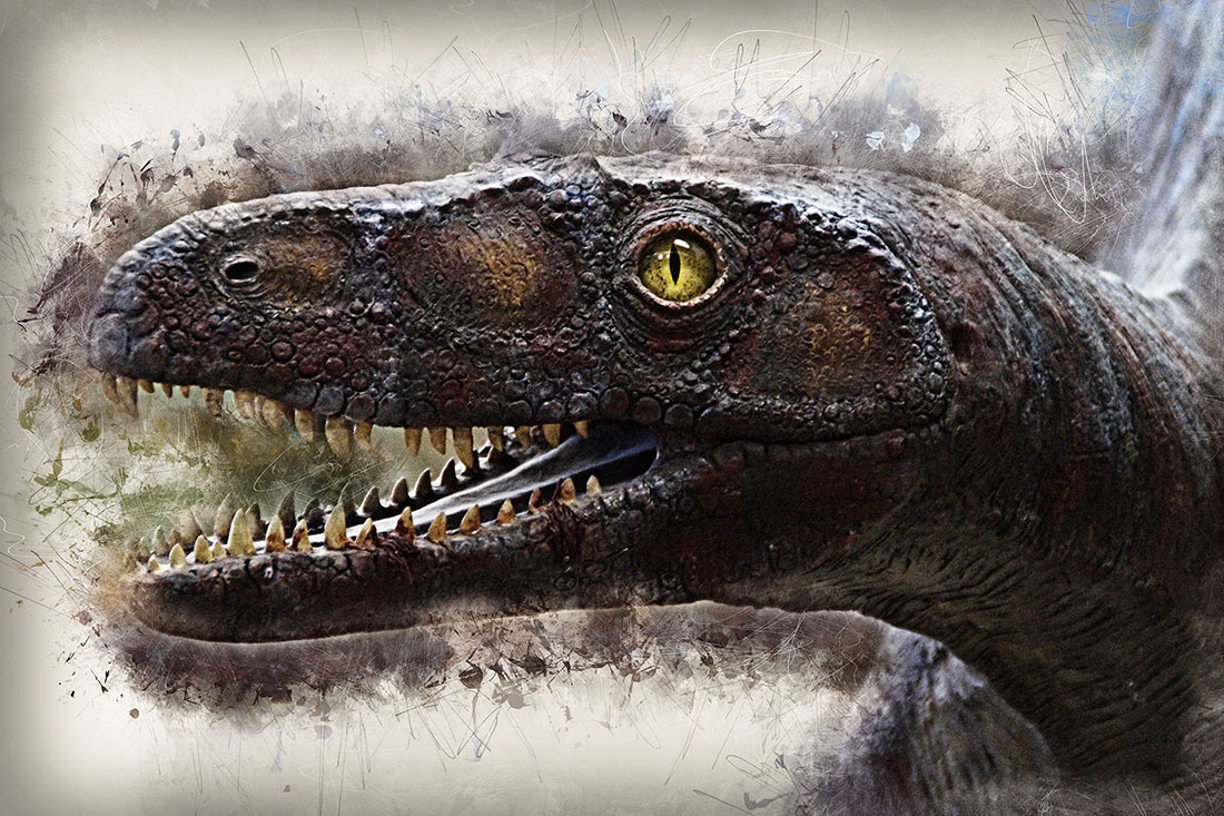 12 Ready-to-Print HQ Graphics of Dinosaur with Rustic Style for ad design.