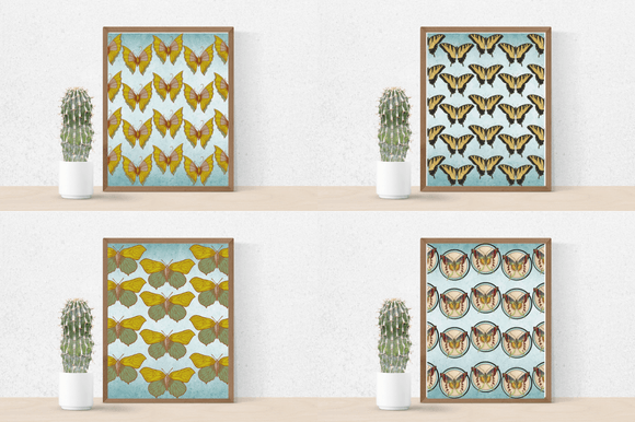 Four vintage butterflies illustrations for the posters.