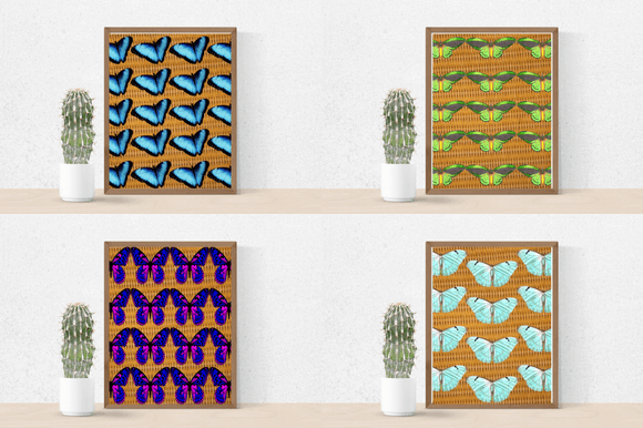 Four posters with the colorful butterflies.