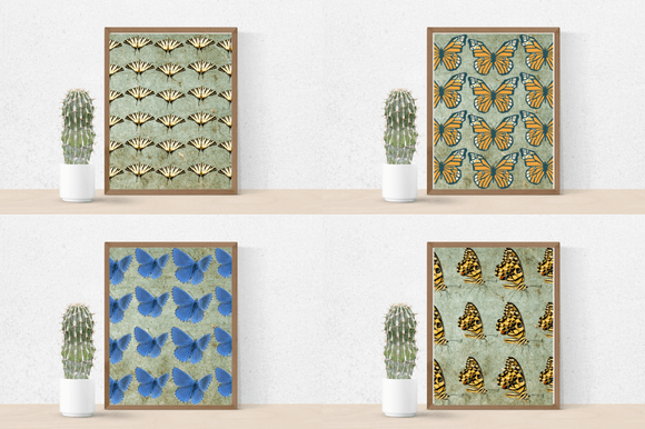 Four posters with the so cool butterflies.