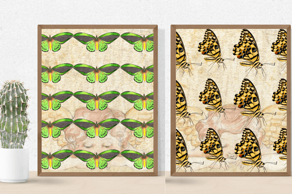 Two posters in a vintage style with the butterflies.