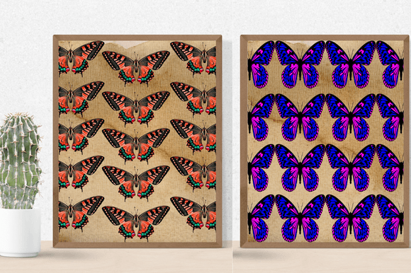 Two posters with the brown and purple butterflies.