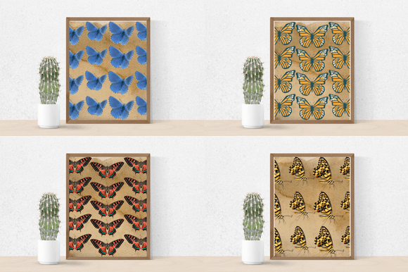 Four posters with the nice and vintage butterflies.