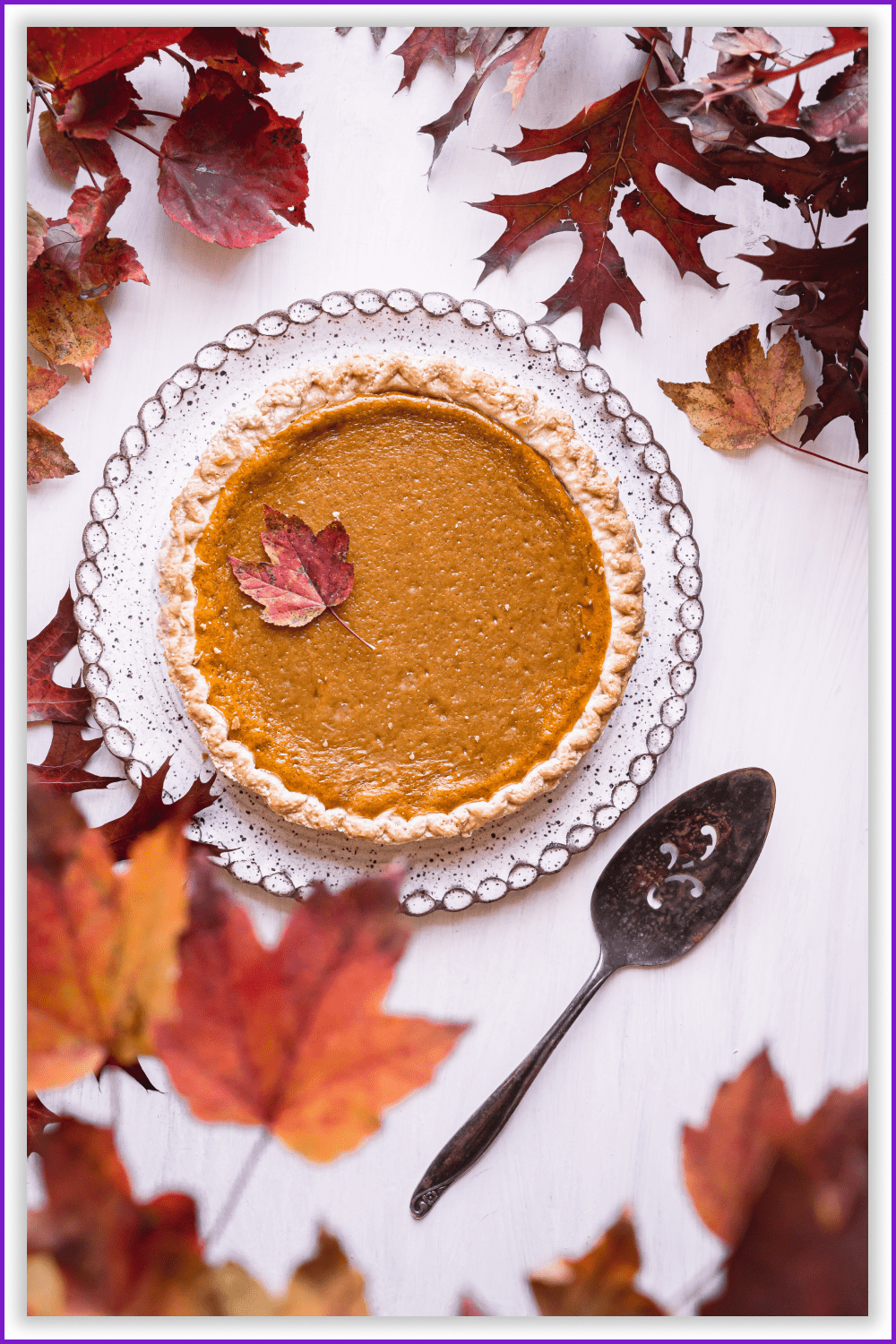 Pumpkin pie on a plate framed with yellow leaves.