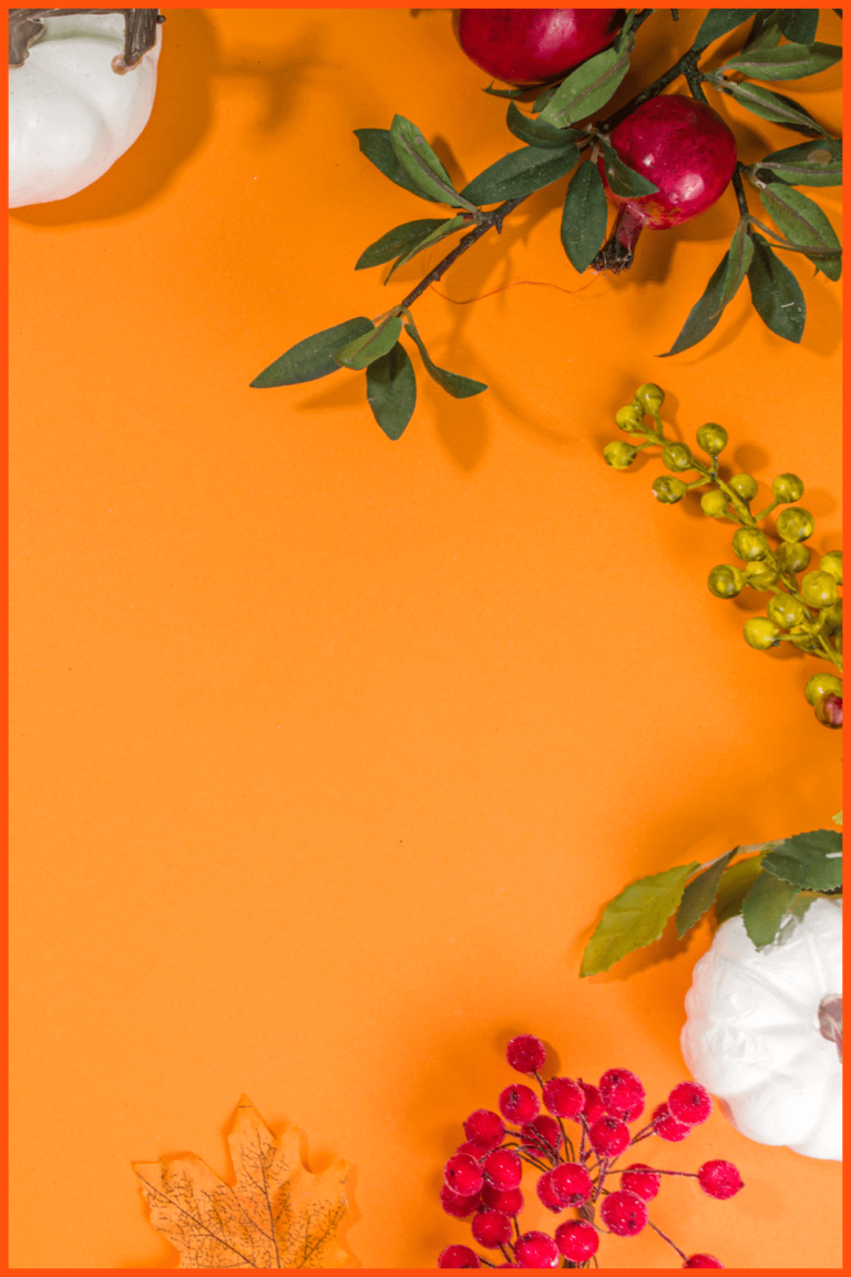 55+ Best Zoom Background Images For 2022 Free and Premium