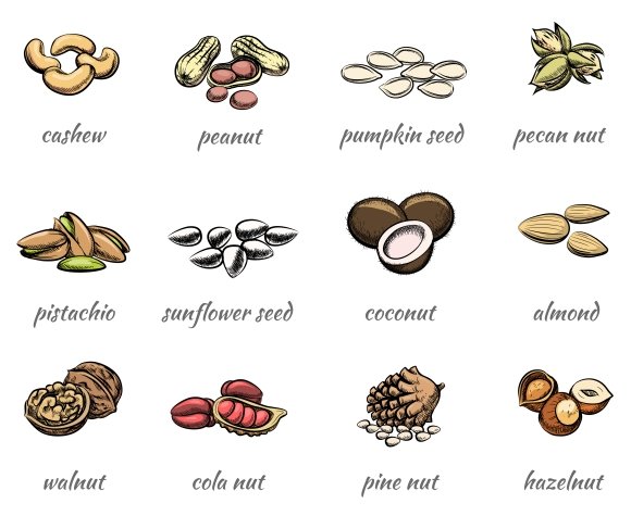 Diverse of the tasty nuts.