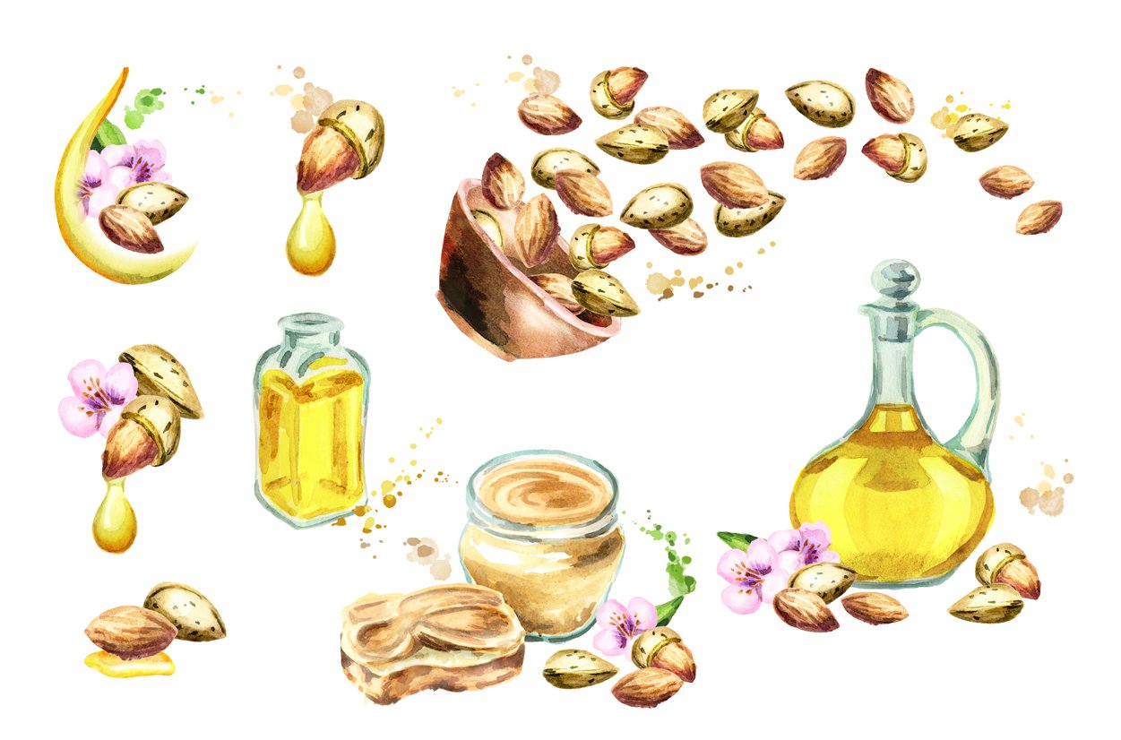 High quality illustrations of almond products.