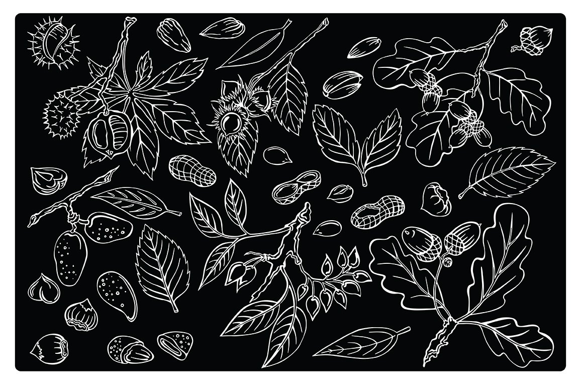 Black background with the white hand drawn nuts and plants.