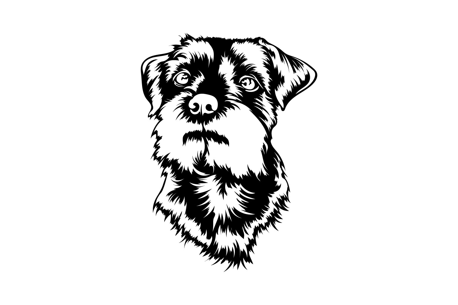 Black and white drawing of a dog's face.