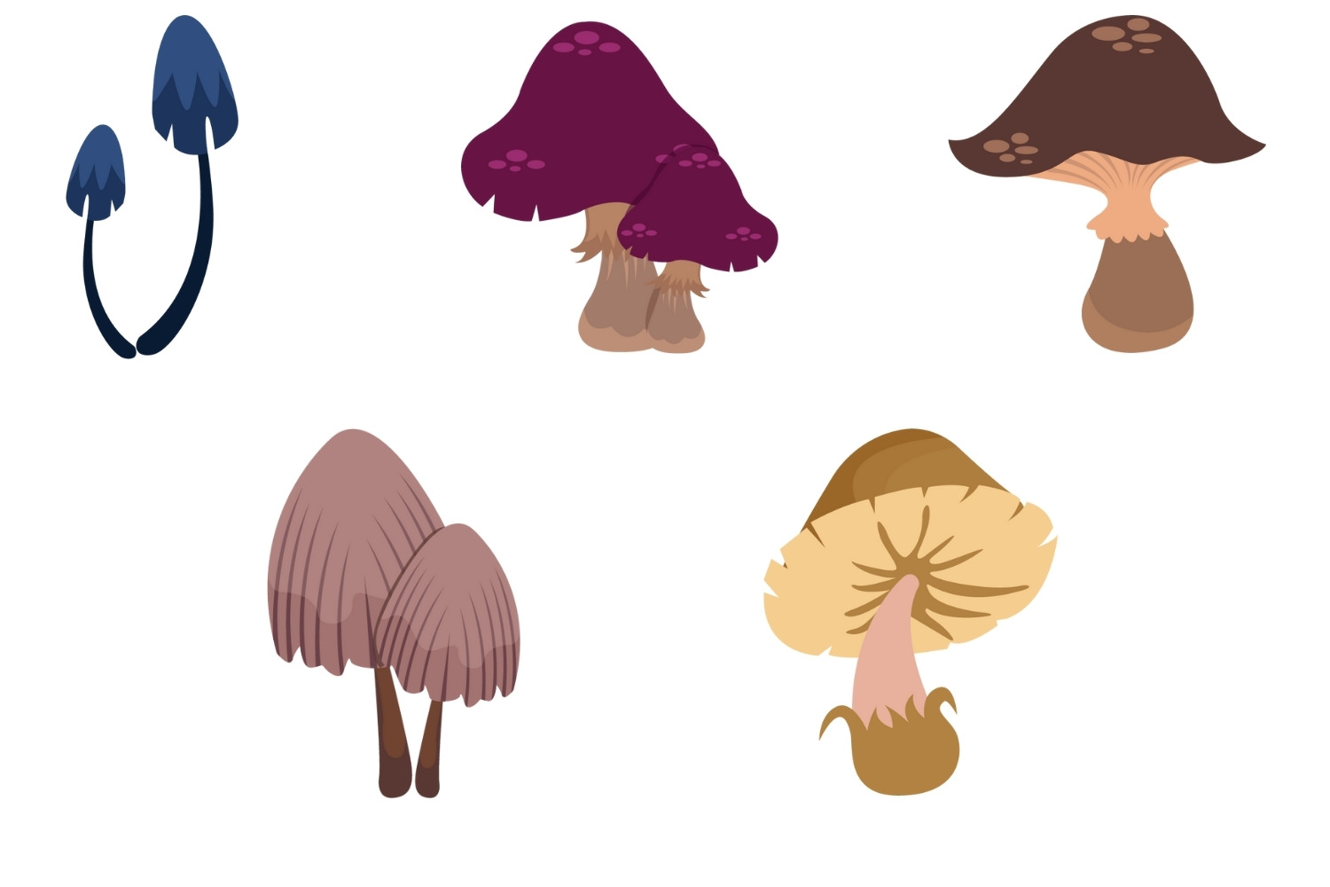 Mushroom Editable Clipart Set preview image.