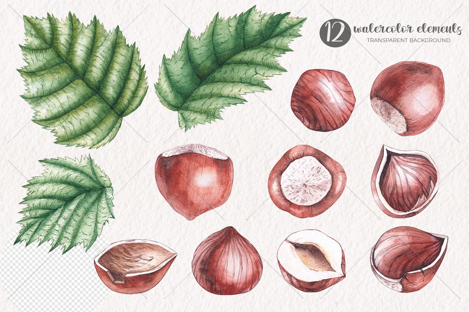 Lettering "12 Watercolor Elements" and a set of 9 different hazelnuts and 3 leaves on a gray background.