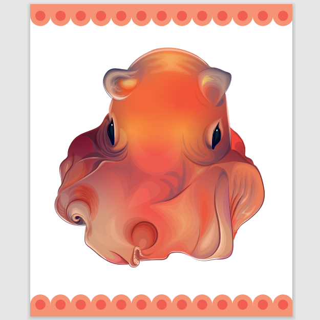 Octopus Grimpoteuthis red Illustration.