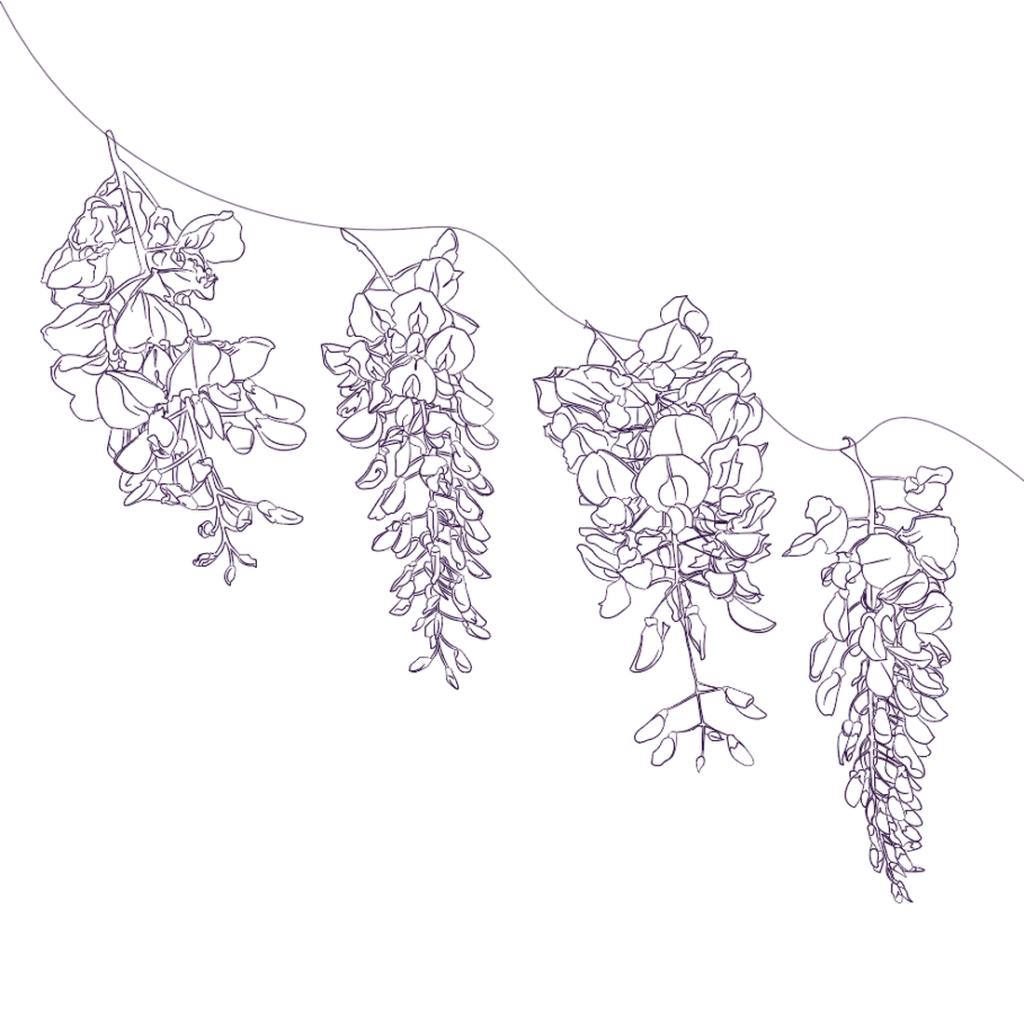 Wisteria Illustration MasterBundles