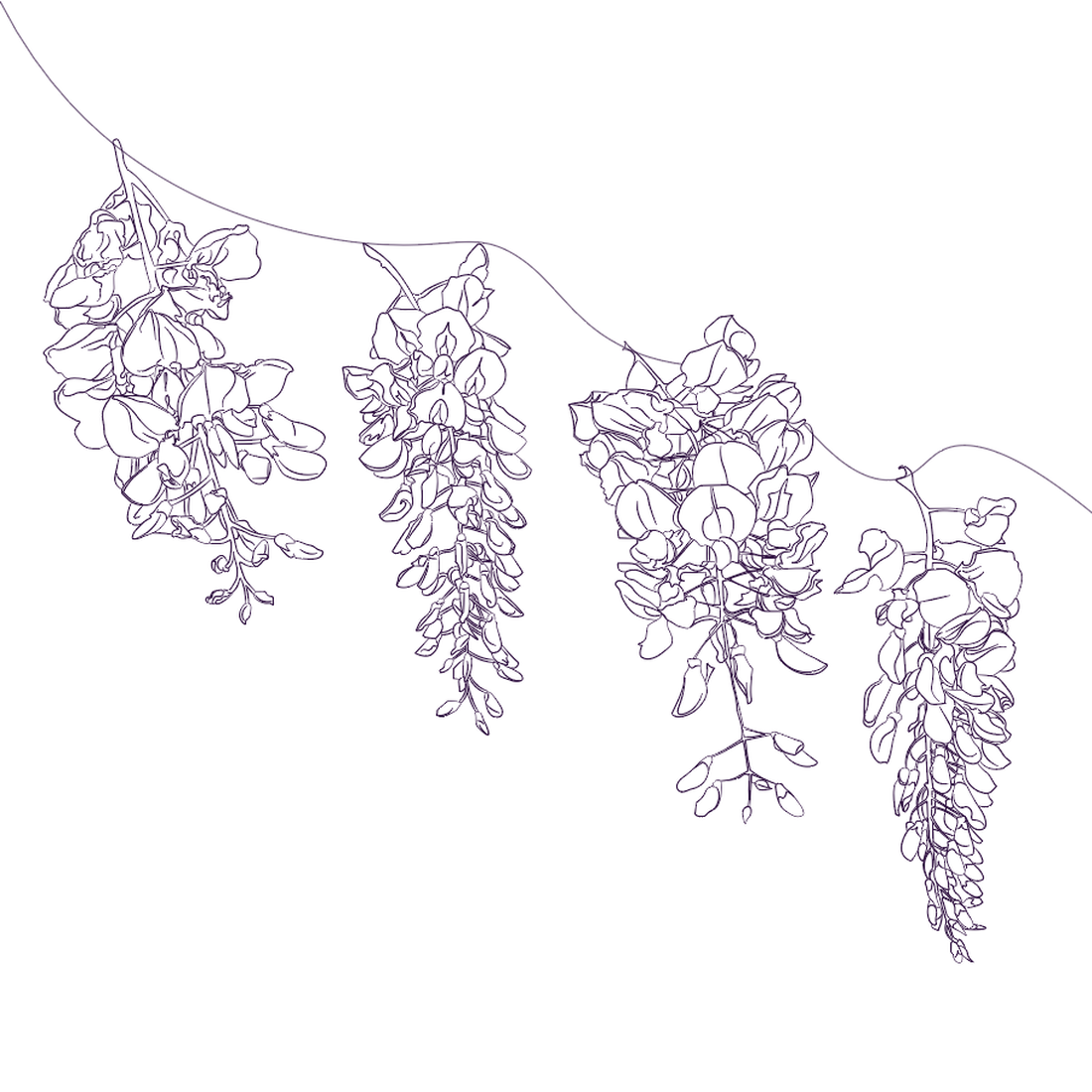 chinese watercolor styled wisteria flowers