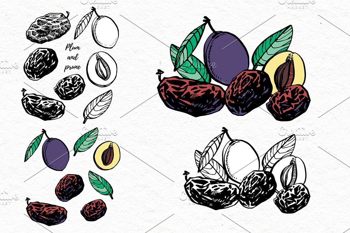 Dry fruits in color and hand drawn.