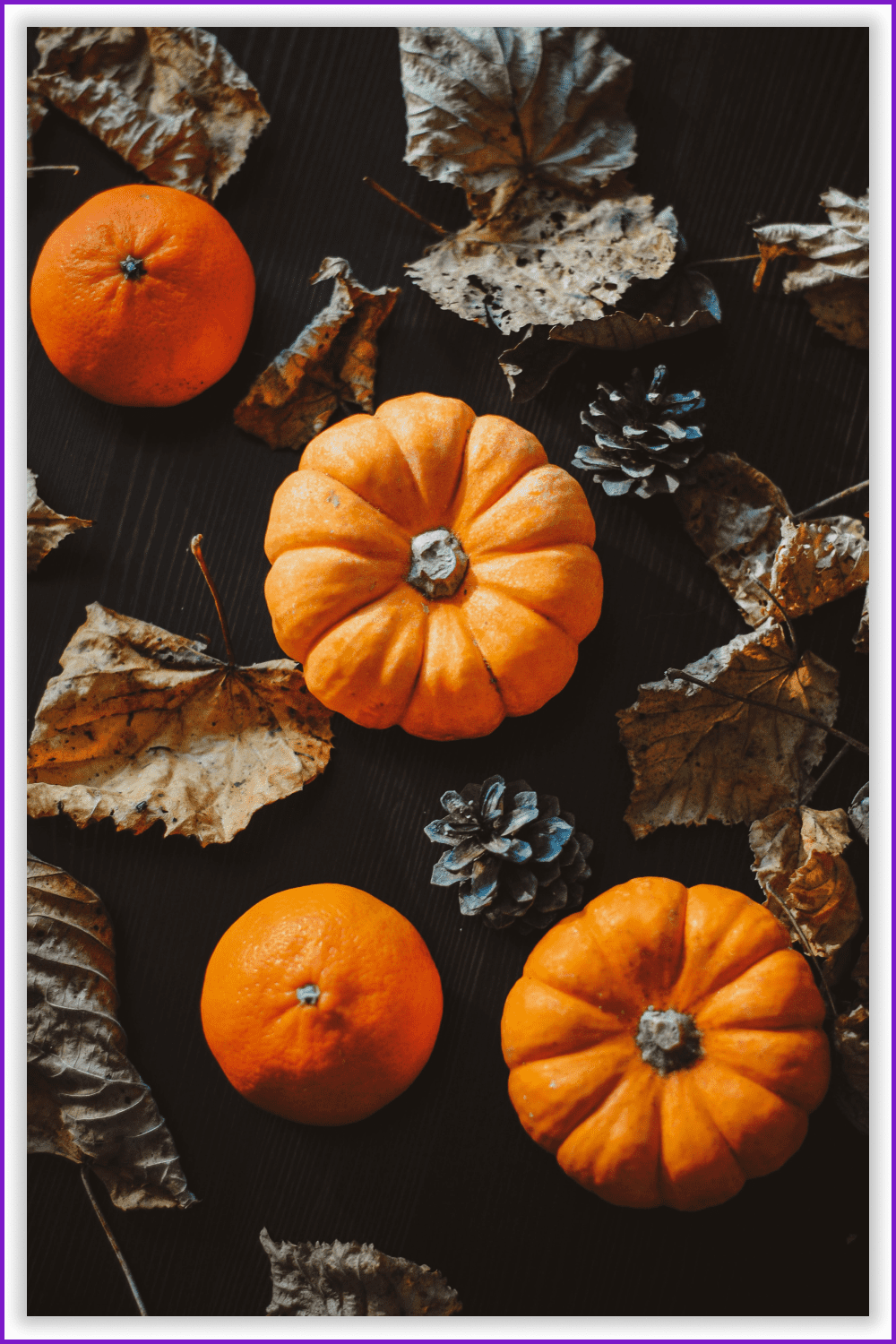 Photo of orange pumpkins and tangerine with leaves and cones on the table.
