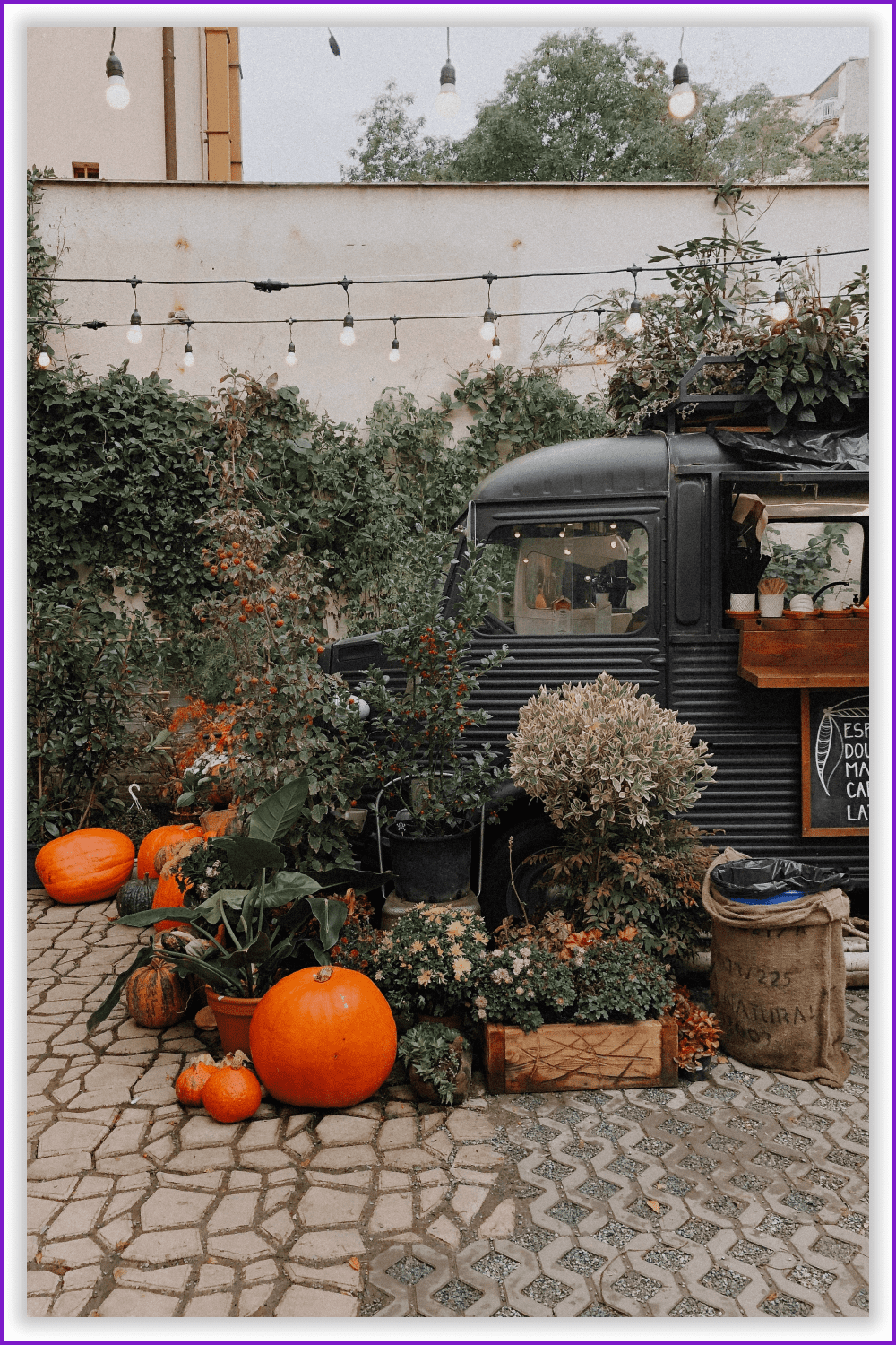 Truck surrounded by pumpkins and flowers.