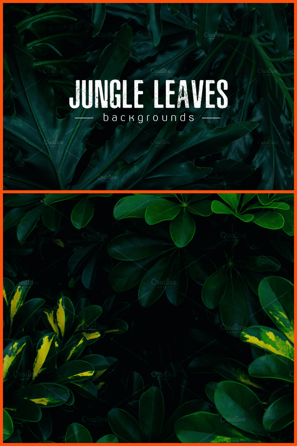 Real tropical leaves background.