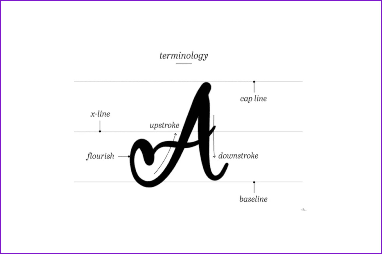 Baselines, x-lines, and cap lines around A letter.