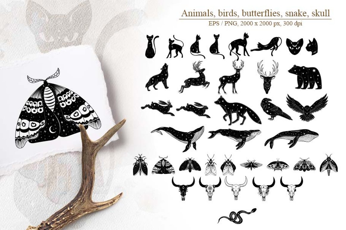 High quality animals, skulls and birds for the interesting illustrations.