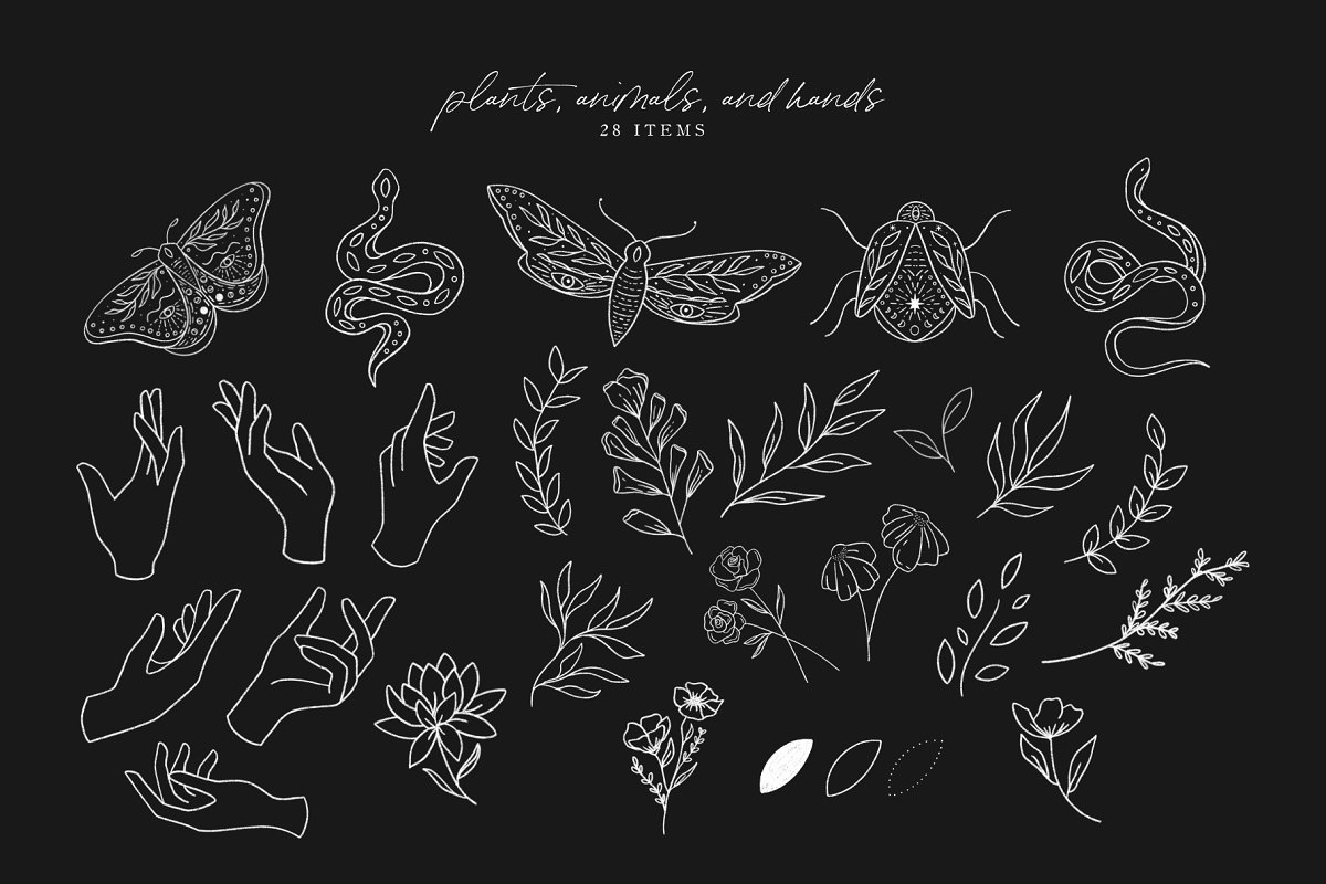 Lined plants, animals and hands on the dark background.