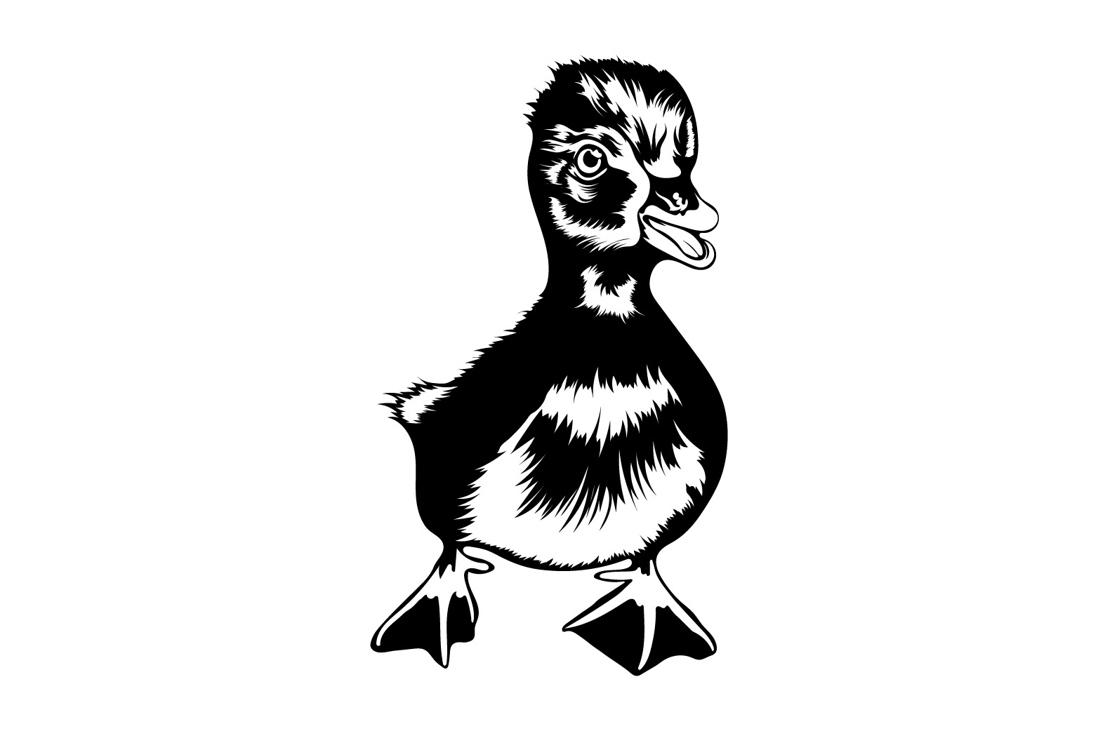 Little Duck Graphics Design preview image.