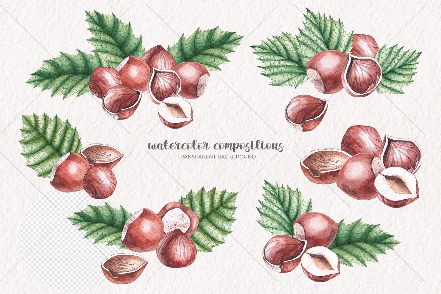 Lettering "Watercolor Compositions" and a set of different hazelnuts with leaves on a gray background.
