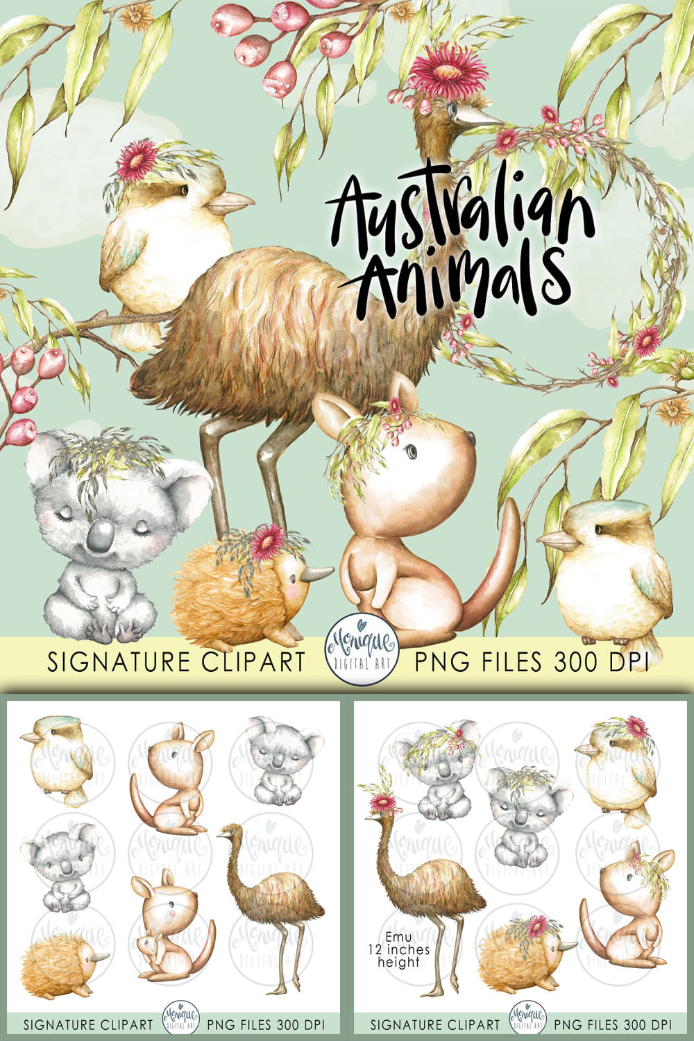 Australian Animals Clipart Watercolo cover.