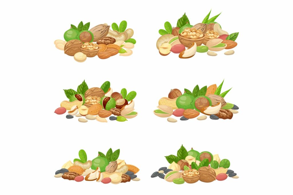 Fruit Kernels, Dried Almond Nut And Cooking Clipart – MasterBundles