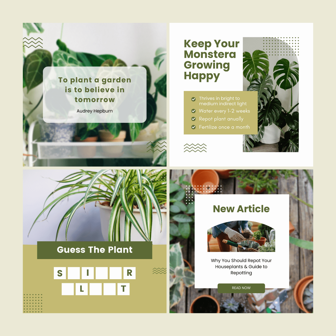 Green Space Plant Store Editable Instagram Post preview image.