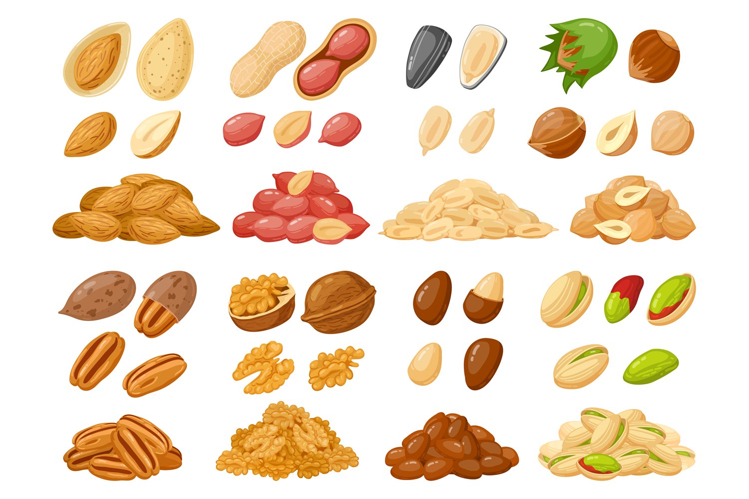 A set of cartoon nuts - almond, peanut, cashew, hazelnut nuts, sunflow on a white background.