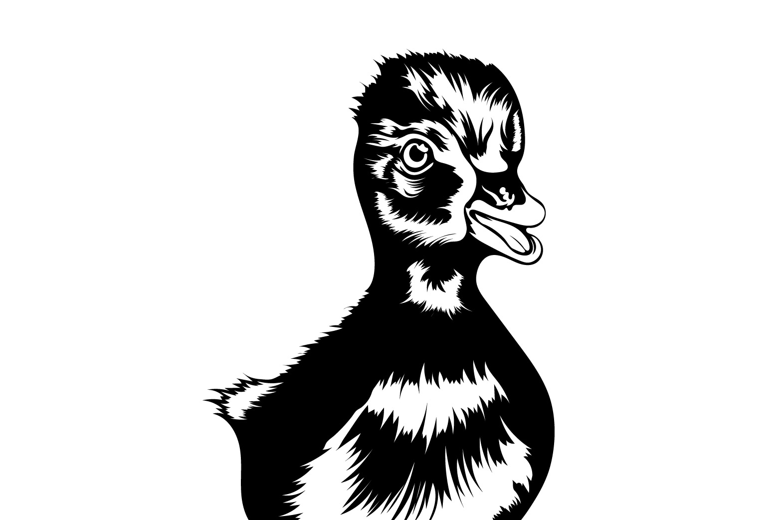Simple Little Duck Graphics Design preview image.