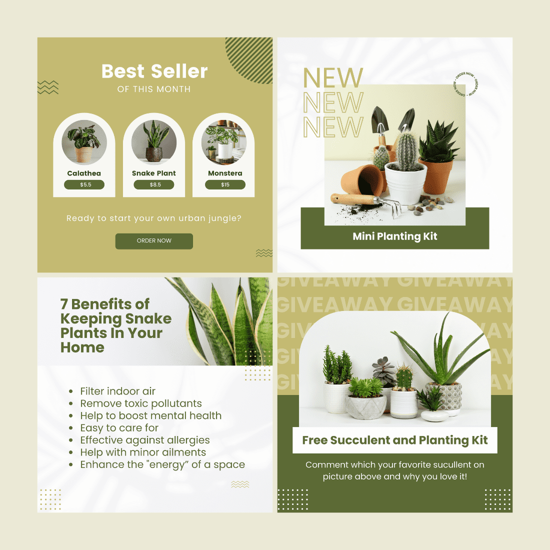 Plant Store Instagram Post preview image.