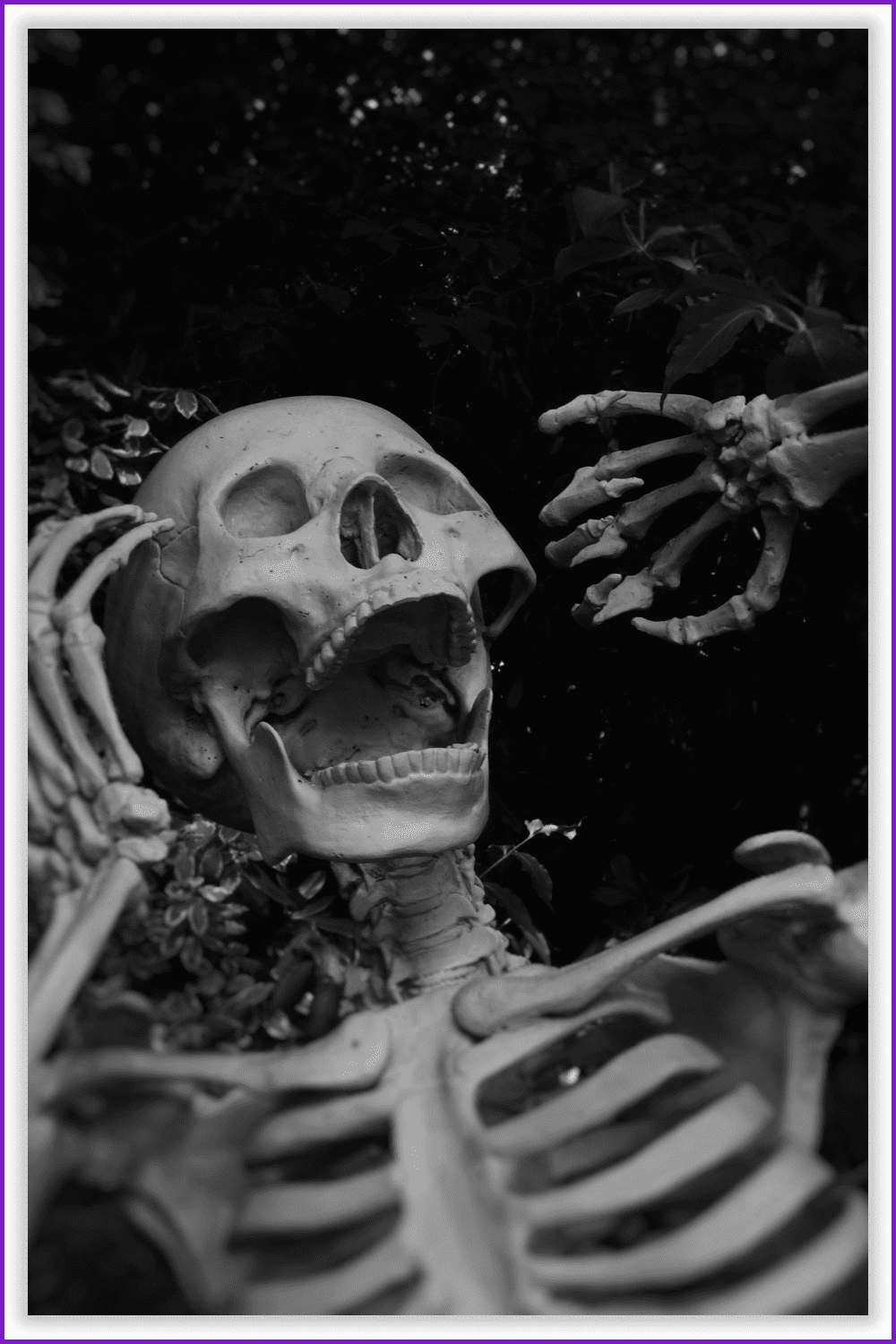 Photo of a skeleton with a wide open mouth.