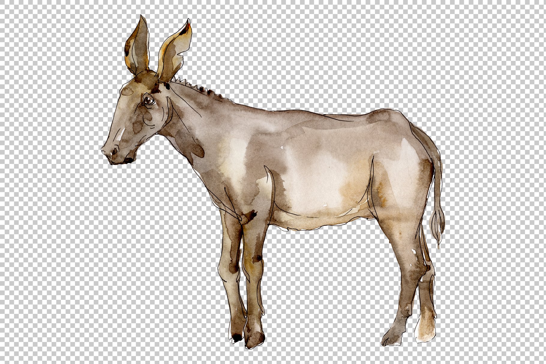 Light brown watercolor horse.