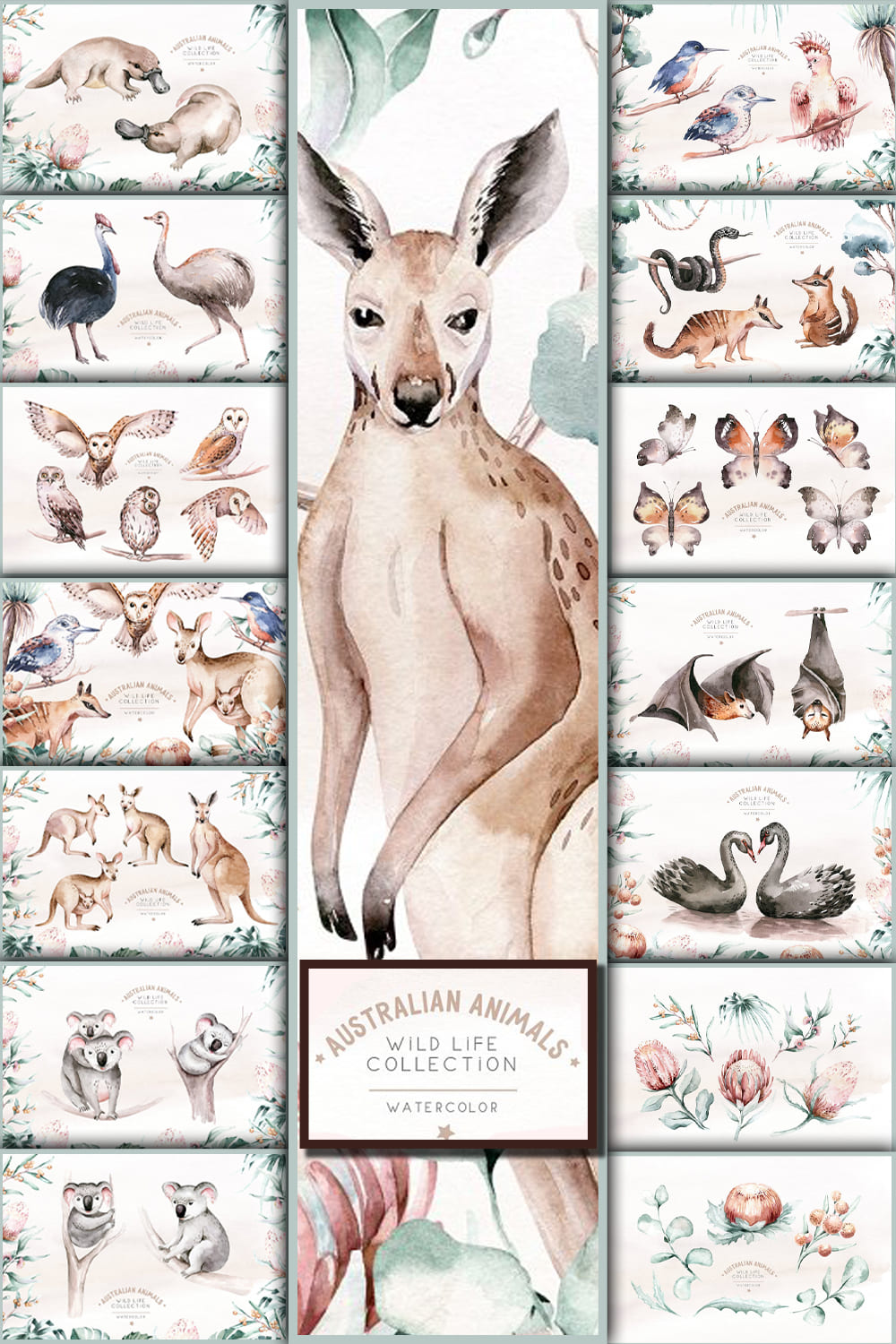 5584456 australian animals watercolor set pinterest 1000 1500 160