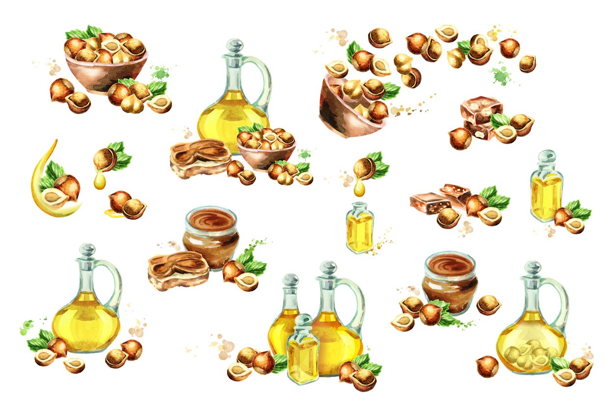 A set of different illustrations of a hazelnut and bottles of oil on a white background.