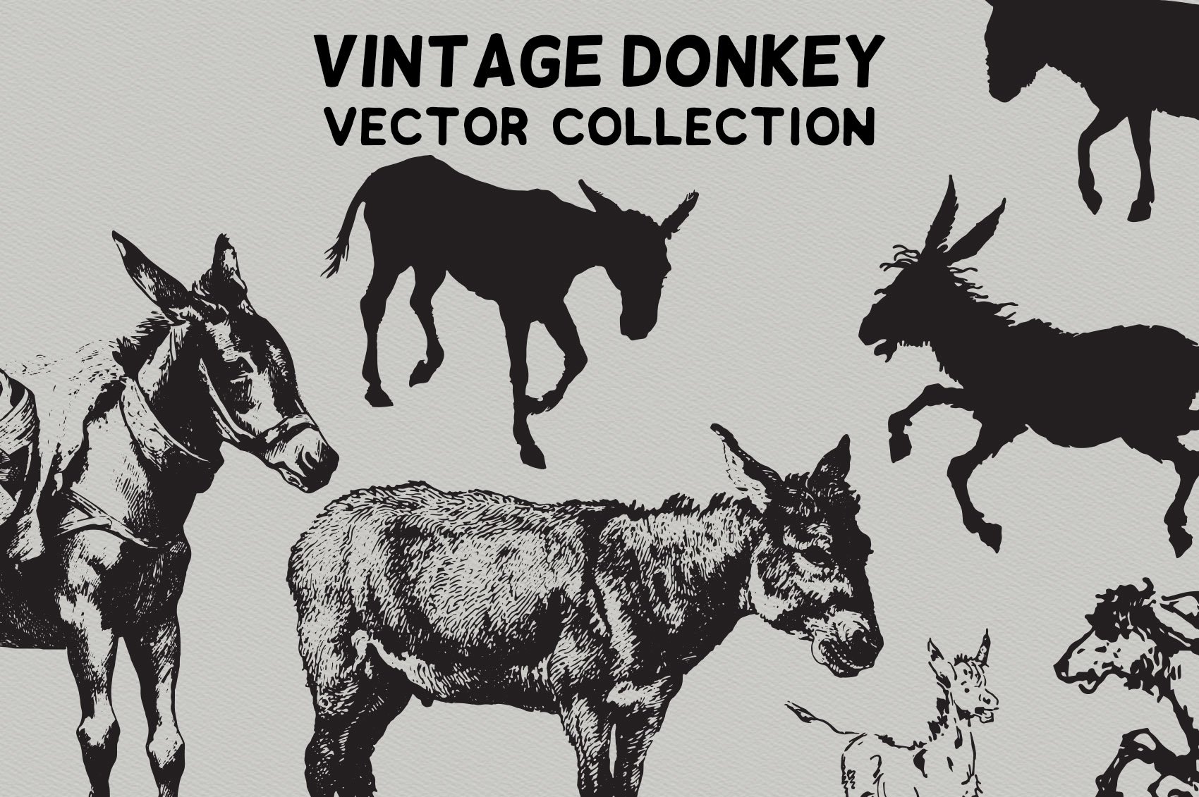 Vintage donkey collection for your purposes.