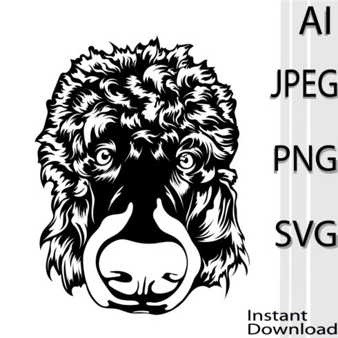 Poodle Dog SVG main cover.