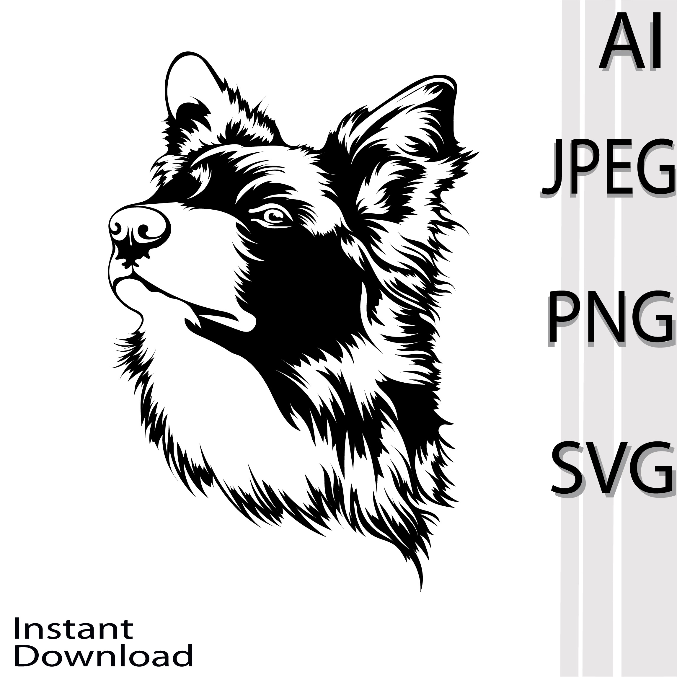 Border Collie Dog SVG main cover.